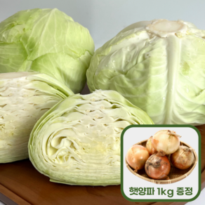 무안 산지직송 깐 양배추 2통(3~4kg) 구매시 양파 소 1kg 증정, 2개, 3kg