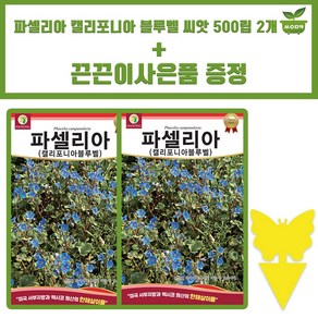 다농 파셀리아 씨앗 500립 캘리포니아블루벨 파셀리아 꽃씨 종자 2개+끈끈이 1P 증정, 1세트