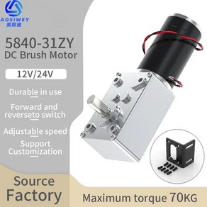 TORQUE MOTOR 웜 기어 DC 모터 속도 조절 가능 역방향 자동 잠금 높은 토크 더블 샤프트 5840-31ZY 12v24v 7RPM-470RPM, 20) 12V 10RPM - Backet Moto, 1개