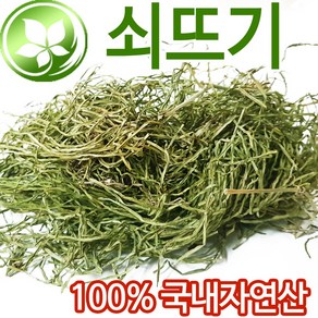 국내자연산 쇠뜨기 600g 쇠뜨기풀 쇠뜨기차 쇠뜩이 새뜨기