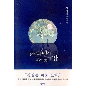 당신의 별이 사라지던 밤