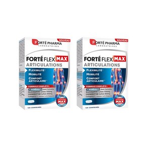 포르테 파마 포르테 플렉스 맥스 120정 2개 Fote Phama Fote Flex Max Aticulations