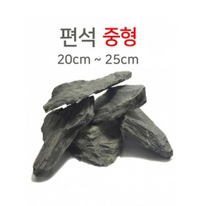 편석(중형) Size 20cm - 25cm급 / 판석 납작한돌 거북이어항 수초어항