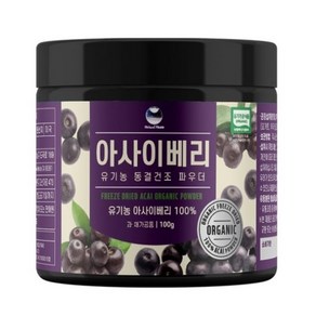 해나식품 유기농 동결건조 아사이베리분말 100g, 2개