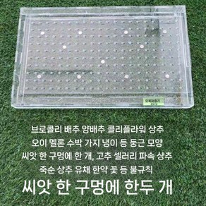 트레이 파종기 모종 씨앗판 이식기 양배추 고추, A. 양배추(21웰), 1개