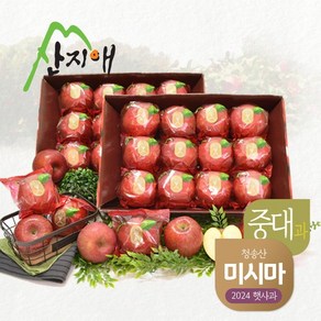 산지애 씻어나온 꿀사과 3kg 2box (중대과) 청송산 미시마 당도선별, 2개