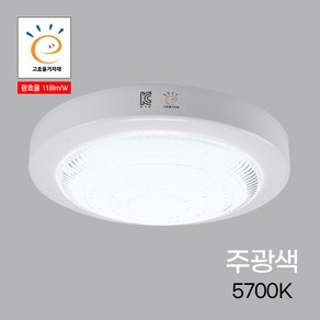 LED 조명 현관 욕실 복도 원형 직부등 고효율 25W 주광색 헤븐, 1개