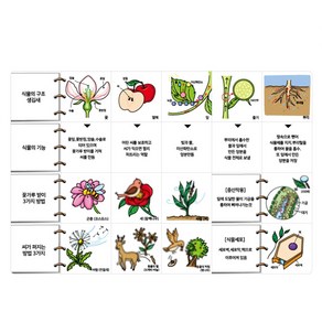 과학교구 삼족오 교과퍼즐 식물의 구조와 기능 미술교구 재료_OR