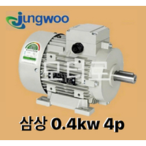 정우모터 0.4kw 4p 1/2마력 4극 220/380v 50/60Hz B3, 1개