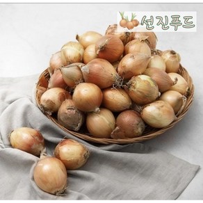 <선진푸드> 창녕 산지직송 햇양파 - 꼬마 양파 (장아찌용), 1개, 5kg