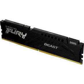 킹스턴 퓨리 비스트 화이트 64GB 2x32GB 6000MTs CL40 DDR5 XMP DIMM  오버클럭 플러그 앤 플레이 인텔 3.0 키트 2개 KF560C40BWK264, 5600MT/s_Black  16GB