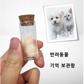 반려동물 기억보관함 고양이수염보관함, 1개