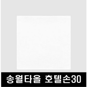 송월타올 화이트 행주 30, 1개, 1개입