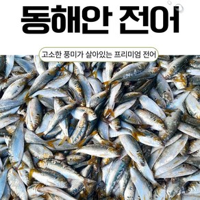 국내산 100% 동해안 산지직송 전어 (구이용), 1개, 2kg (8~10미)