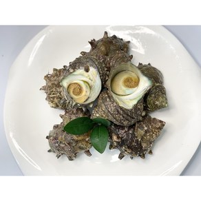 해녀언니 거제도 자연산 뿔소라 1kg