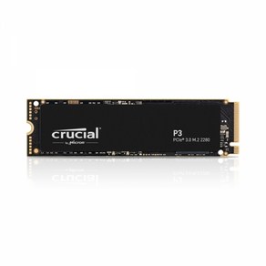 마이크론 마이크론 Cucial P3 대원씨티에스 (500GB)