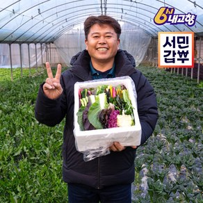 서민갑부 모듬채소 20종 양주농부 클로렐라 쌈채소 유러피안 샐러드 야채 600g-1.2kg, 클로렐라쌈채소 1.2kg, 1박스