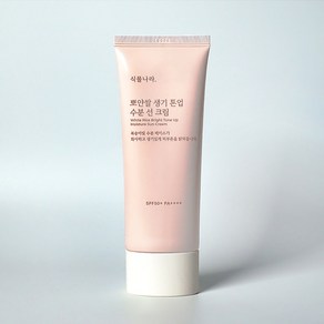 식물나라 뽀얀쌀 생기 톤업 수분 선크림, 1개, 100ml
