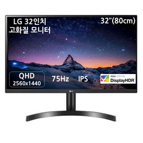 LG전자 QHD PC 모니터, 81cm, LG모니터 32QN650