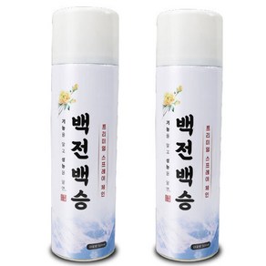 1 + 1 백전백승 초강력 스프레이 체인 500mL 2개