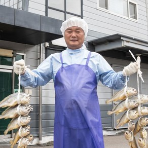 왕특대 민길이 일반굴비 부세 22cm 비늘제거, 1박스, 굴비 20미(실속형)