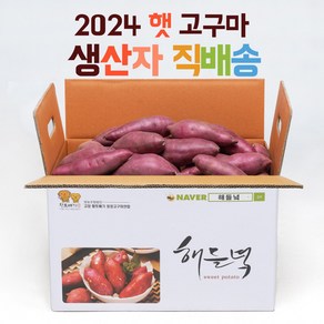 산지직송 해들녘 무농약 고창 꿀 고구마 3kg 5kg 10kg (한입/중/특상/왕)