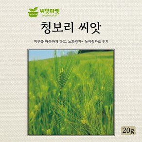 아람종묘 청보리 씨앗 20g, 1개