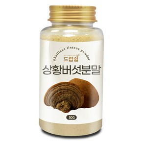 드랍쉽 상황버섯 분말(국산) 50g(통), 1개