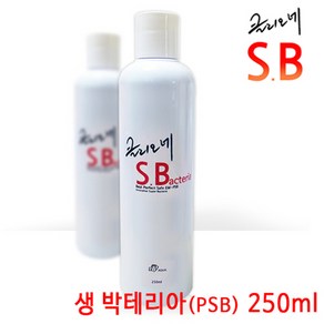 클리오네 슈퍼 박테리아 (250ml), 1개, 250ml