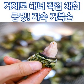 거제도 자연산 급냉 자숙 거북손 1kg, 1개