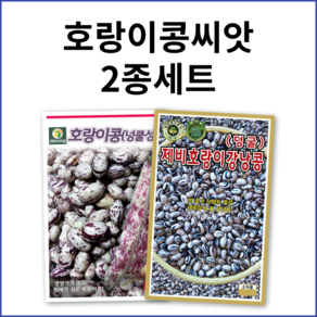 [주주씨앗] 호랑이콩씨앗 2종세트 호랑이강낭콩 제비호랑이콩씨앗 종자 씨, 1개