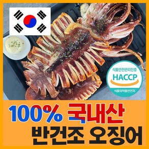 [득템몰] 구룡포 피데기 반건조오징어 파지국산 5 10 손질오징어 캠핑요리 술안주 마른오징어 쫄쫄이오징어 동해오징어, 반건조오징어(치미)5미 250g, 5개