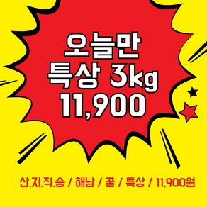 해남 햇 꿀/호박고구마 3kg / 5kg 중/특상 / / 한정특가