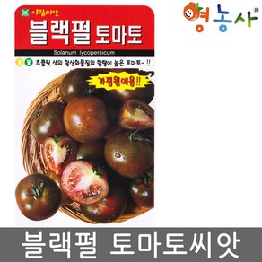 블랙펄 토마토씨앗 10립 블랙 검정 흑색 초콜릿색 종자, 1개