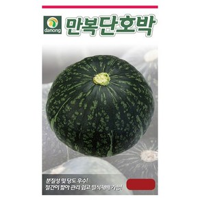 다농 만복단호박 씨앗 20립 단맛단호박씨, 03_다농_만복단호박(20립)