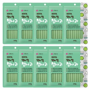 스위트키스 양치껌 청사과맛 100g 칭찬 훈련용 노즈워크간식, 10개