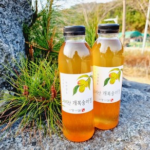 지리산 야생 개복숭아청 발효액 500ml 전통방식 저온숙성 효소 원액