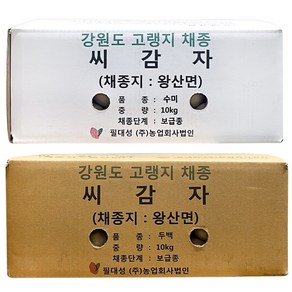 씨감자 수미 두백 4KG 10KG 20KG 강원도 왕산면 보급종, 1개, 수미감자(반찬용)