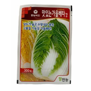맛있는가을베타배추 씨앗 300립 [24년포장] 가을김장 배추종자, 1개
