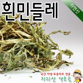 국내 자연산 흰민들레/포공영(뿌리포함) 300g / 말린 건조 100% 국내산 입니다., 1개