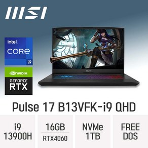 MSI Pulse 17 B13VFK-i9 QHD, Fee DOS, 16GB, 1TB, 코어i9, 그레이