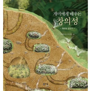 개미에게 배우는 창의성:개미의 집짓기, 리젬, 최재천 교수의 어린이 개미 이야기 시리즈