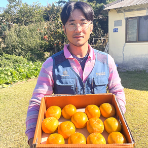 부유 햇단감 품평회대상 수상한 농장, 1박스, 5kg(중과24-26과), 5kg(중과24-26과)