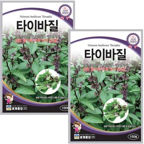 타이바질 100립 허브 씨앗 세계, 2개