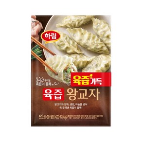 닭고기몰 하림 육즙 왕교자 육즙가득 만두, 840g, 3개