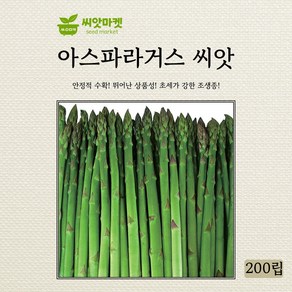 다농 아스파라거스 씨앗 200립, 1개