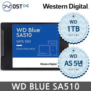 [WD 공식판매원] 웨스턴디지털 2.5인치 BLUE SA510 SATA3 1TB SSD