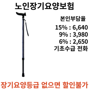 성인용 지팡이 SW-100F 넓은 손잡이 바닥면으로 피로감 최소화 노인장기요양보험 복지용구, 1개, 본인부담금 6%