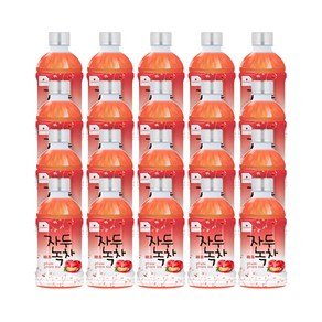 웰그린 스위츠 자두녹차 340ml, 20개