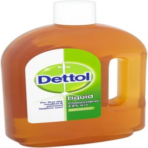 750ML 데톨 오리지널 액체 살균 소독제 Dettol Antiseptic, 1개